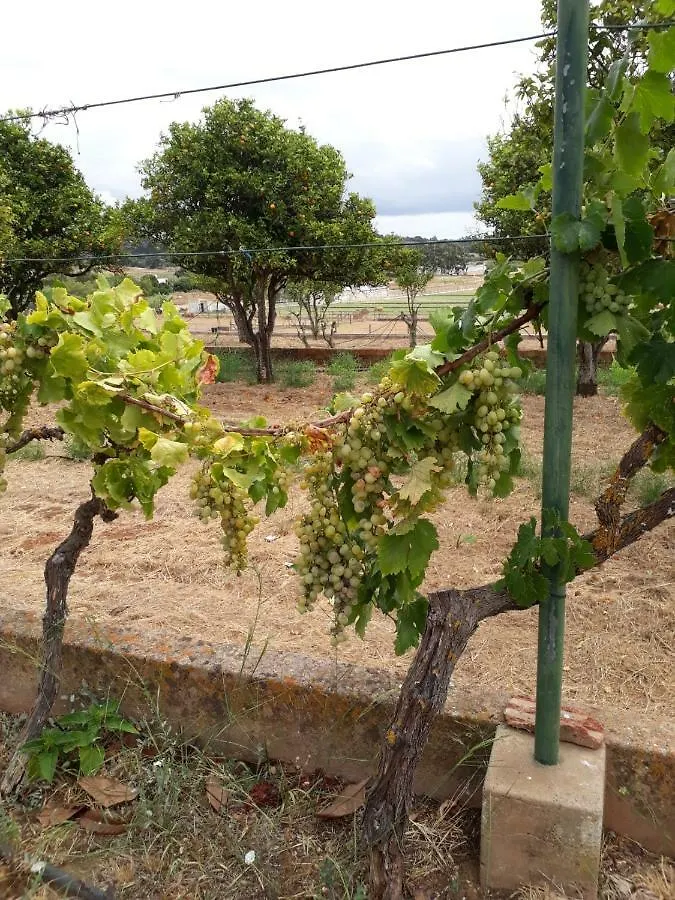 Maison Beatriz Villa Lagos Portogallo