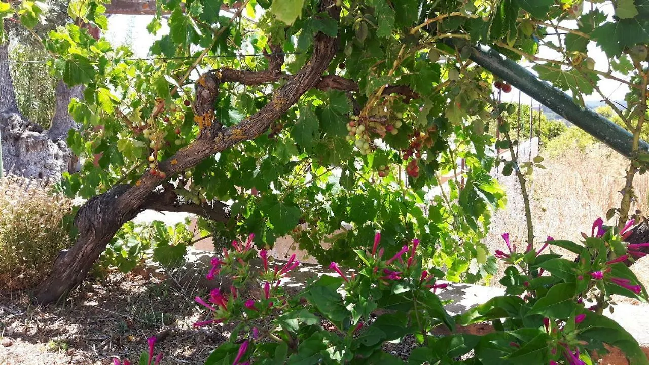 Farm stay Maison Beatriz Villa Lagos Portugal